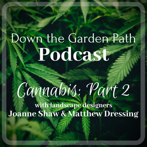 Cannabis podcast
