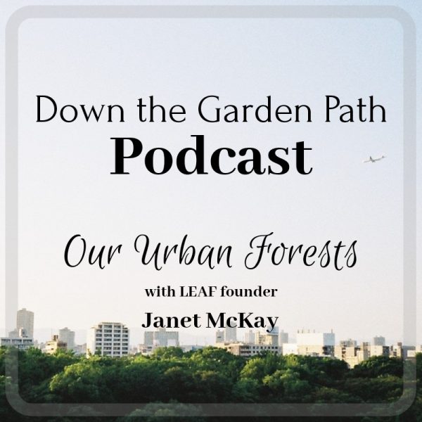 Our Urban Forests