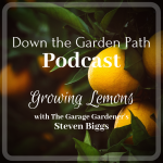 Growing Lemons Podcast
