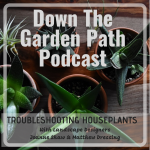 Troubleshooting houseplants