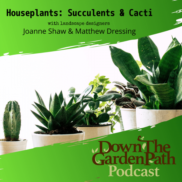 Down The Garden Path Podcast Houseplants: Succulents & Cacti