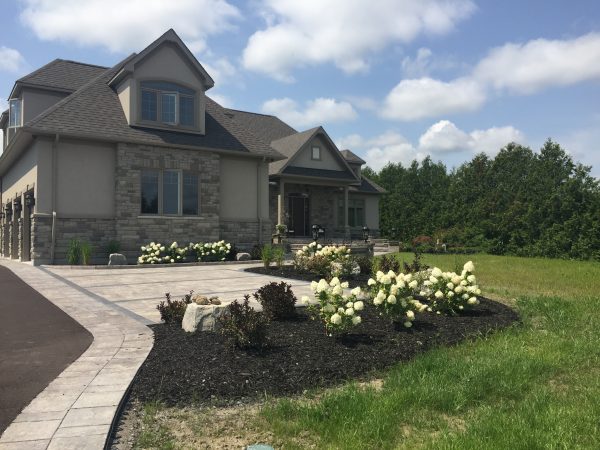 Landscape Projects - Front yard