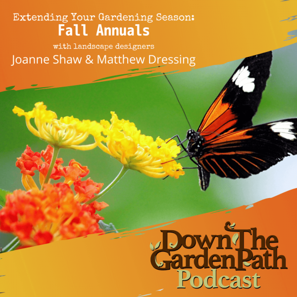 extending your gardening season with fall annuals