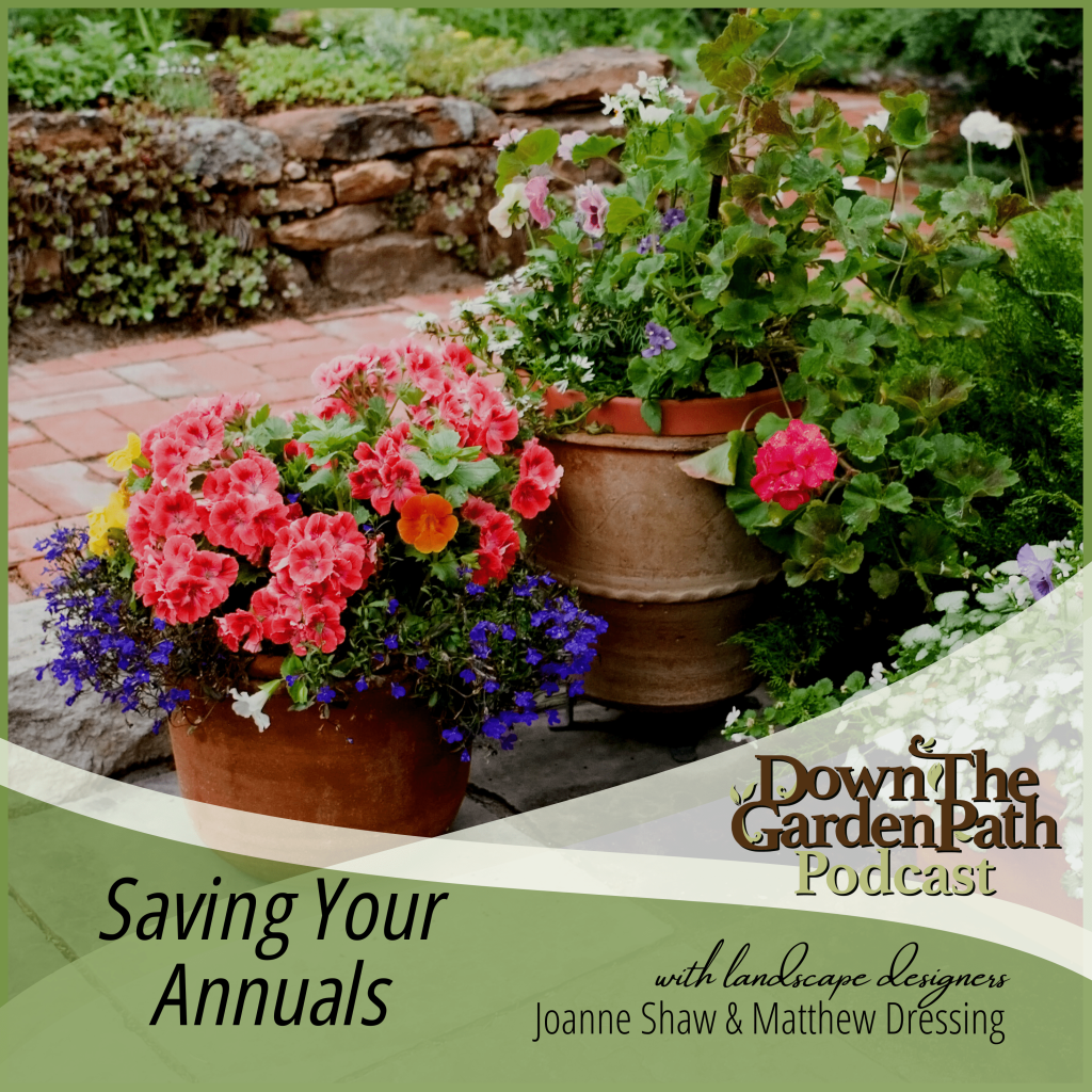 Saving Your Annuals Down 2 Earth Down 2 Earth