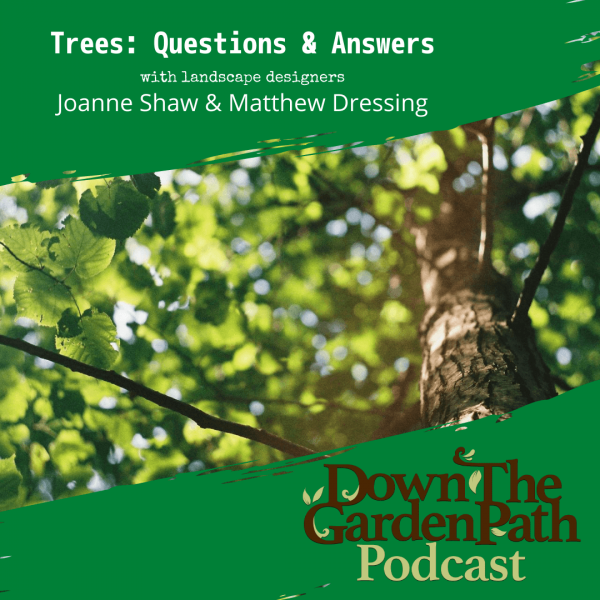 trees q & a with Joanne and Matt