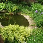 Pond water feature
