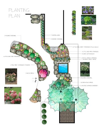 Coloured planting plan in Whitby