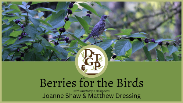 Berries for the Birds podcast image