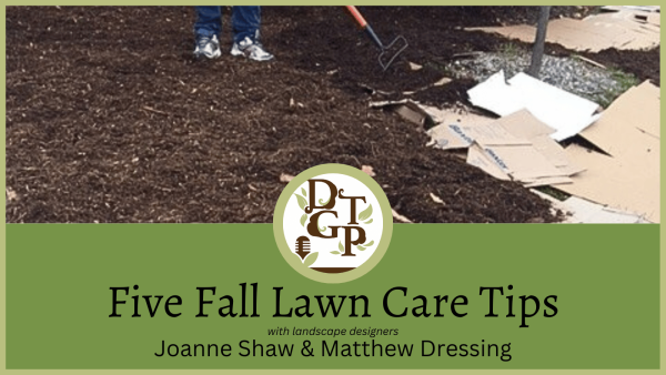 five fall lawn care tips podcast image