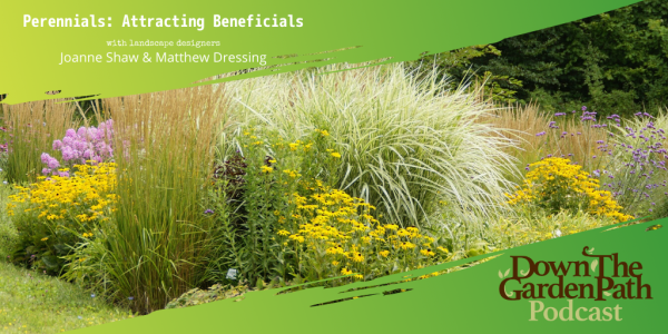 Perennials - Attracting Beneficals