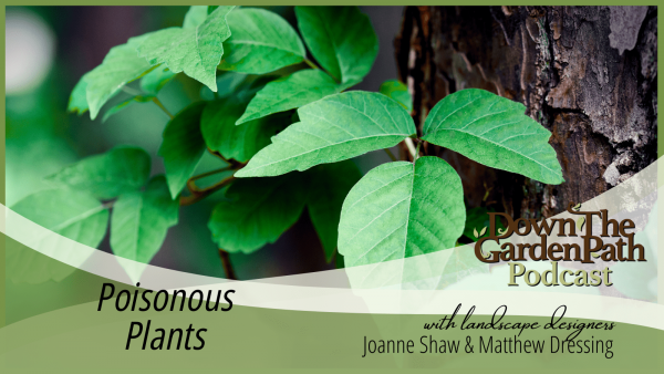 Poisonous Plants podcast