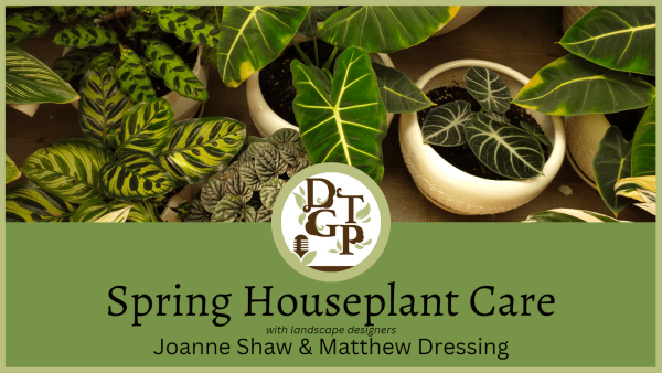 Spring Houseplant Care podcast image