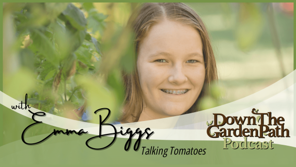 Talking tomatoes with Emma Biggs