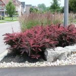 landscape contractor
