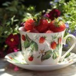 strawberries teacup