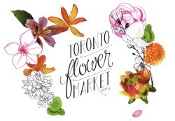 toronto flower market